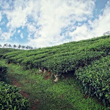 The Windflower Resort & Spa, Vythiri Wayanad Bagian luar foto