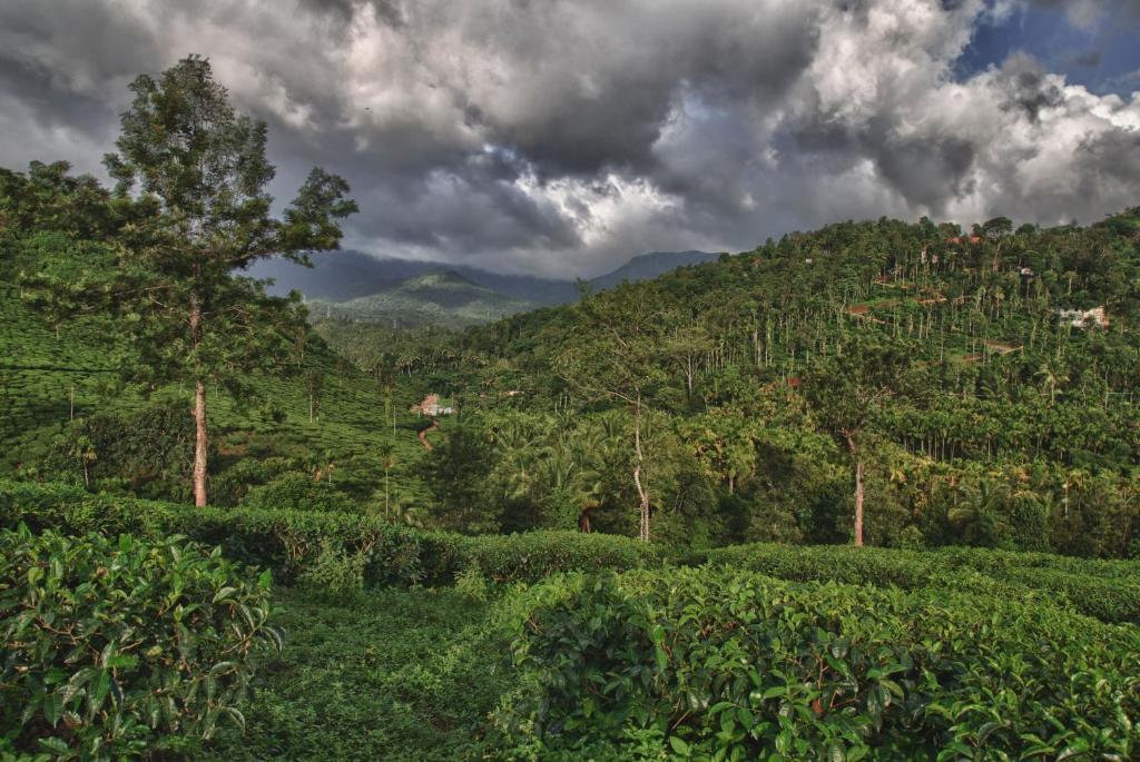 The Windflower Resort & Spa, Vythiri Wayanad Bagian luar foto