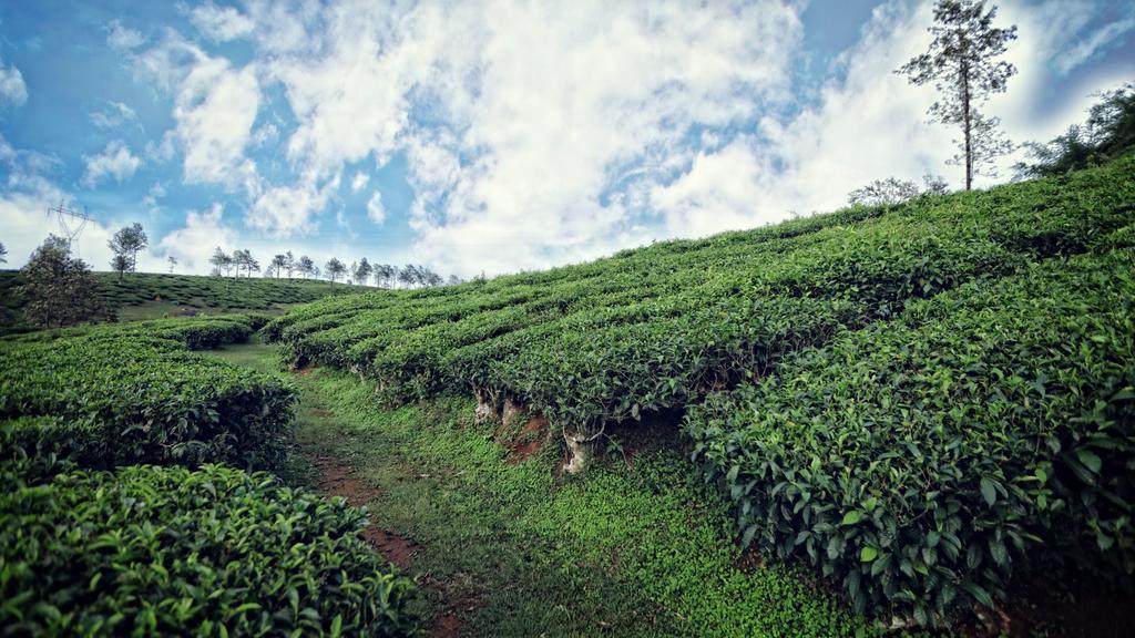 The Windflower Resort & Spa, Vythiri Wayanad Bagian luar foto