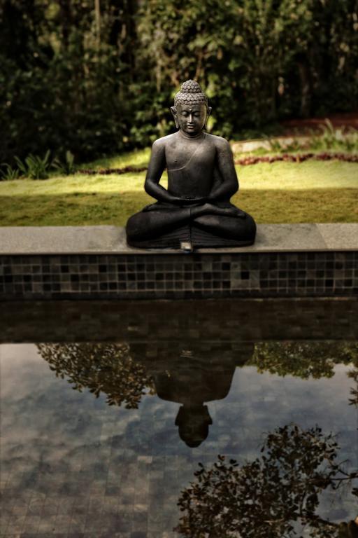 The Windflower Resort & Spa, Vythiri Wayanad Bagian luar foto